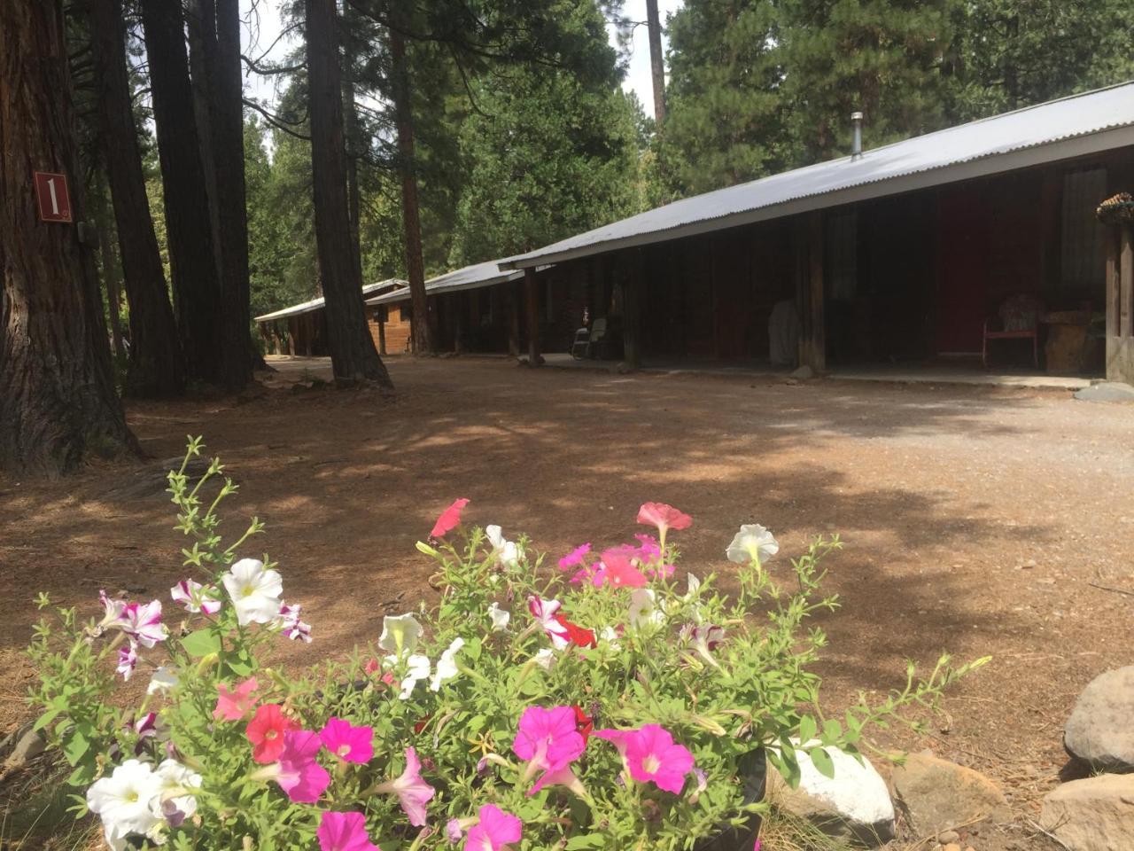 Sierra Sky Lodge Sloat Екстериор снимка